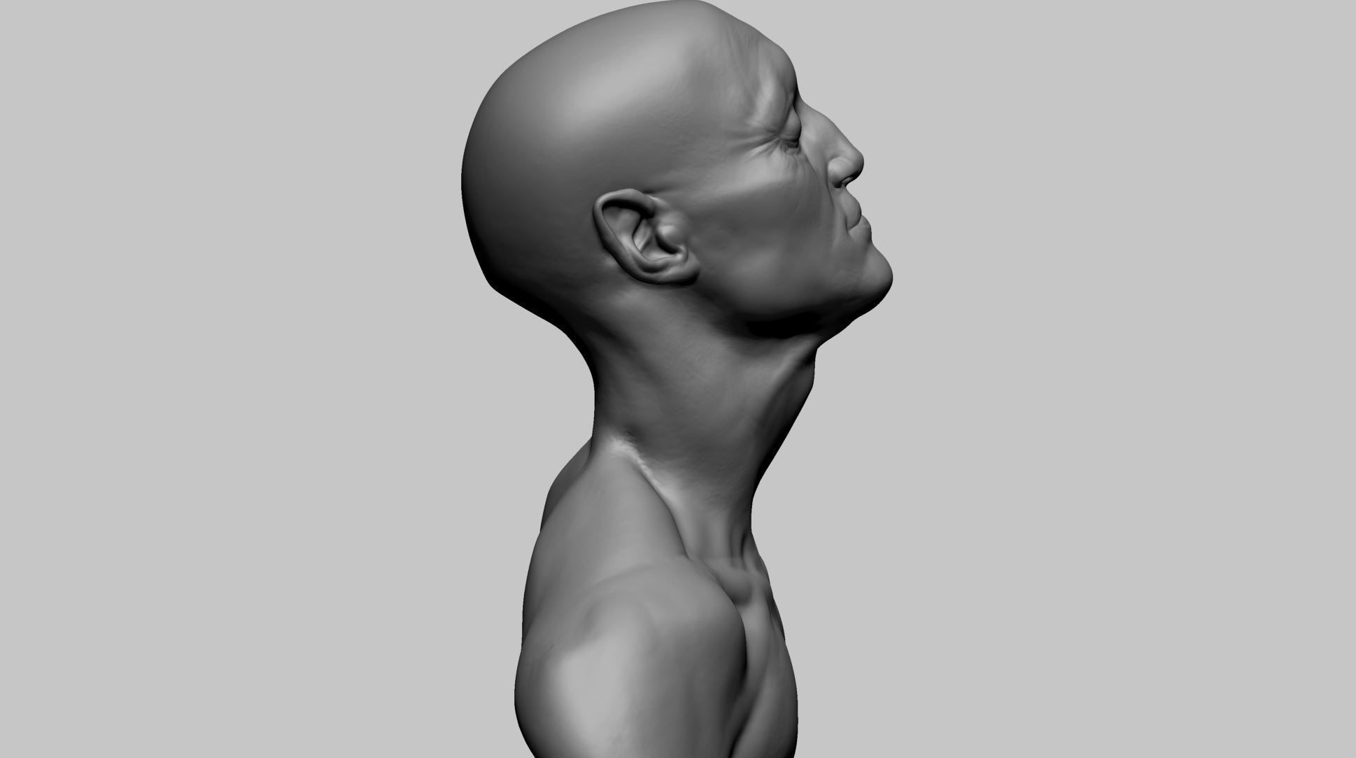 Creature Head L 3D model_7