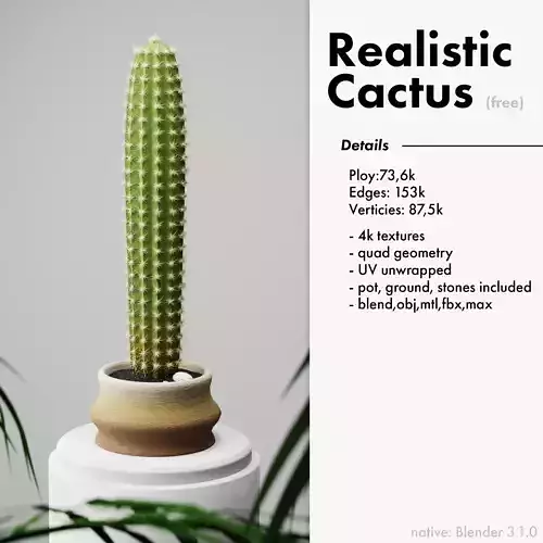 Realistic Cactus with pot ground and little stones included
