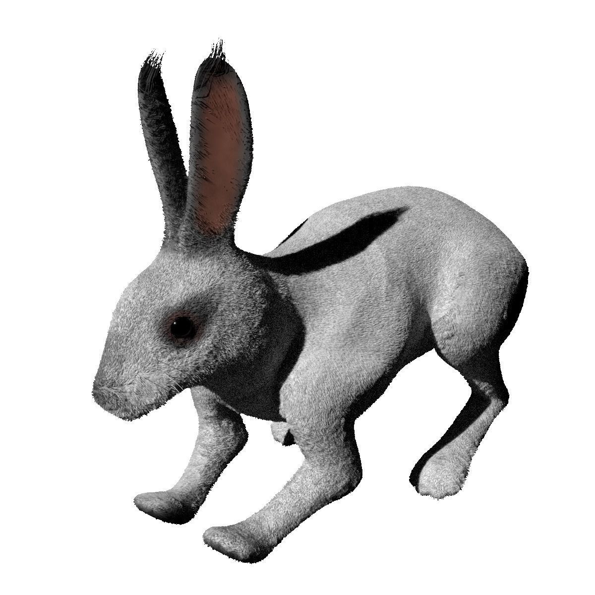 Rabbit BW ANIMATED FUR 3D model_7
