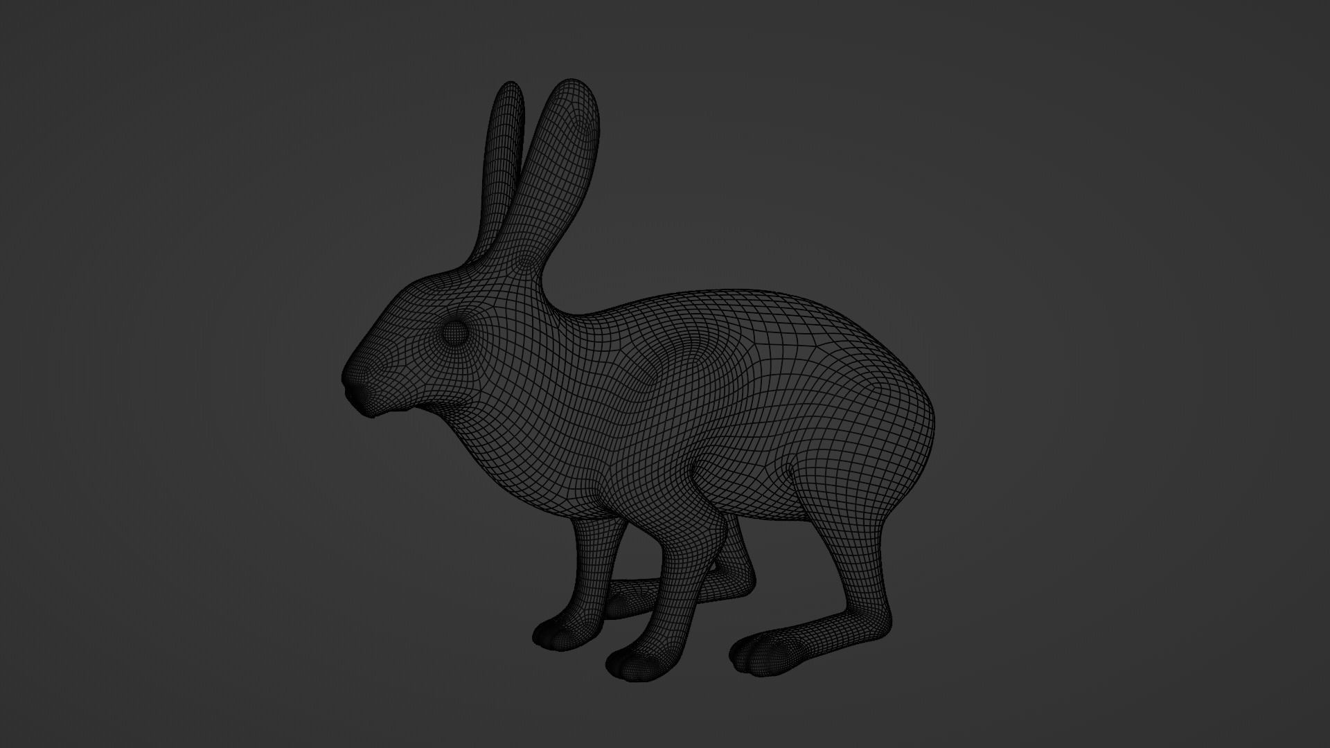 Rabbit BW ANIMATED FUR 3D model_9