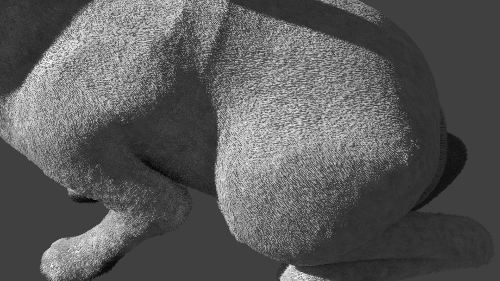 Rabbit BW ANIMATED FUR 3D model_3