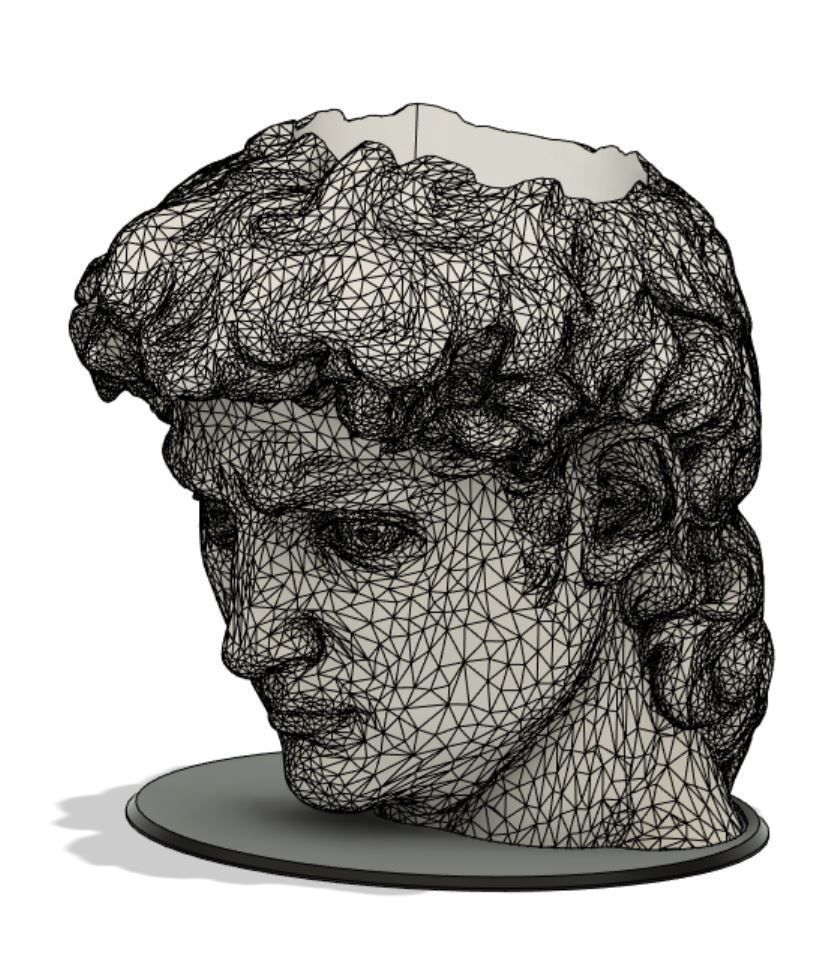 David of Michelangelo Head Pen Holder 3D print model_4