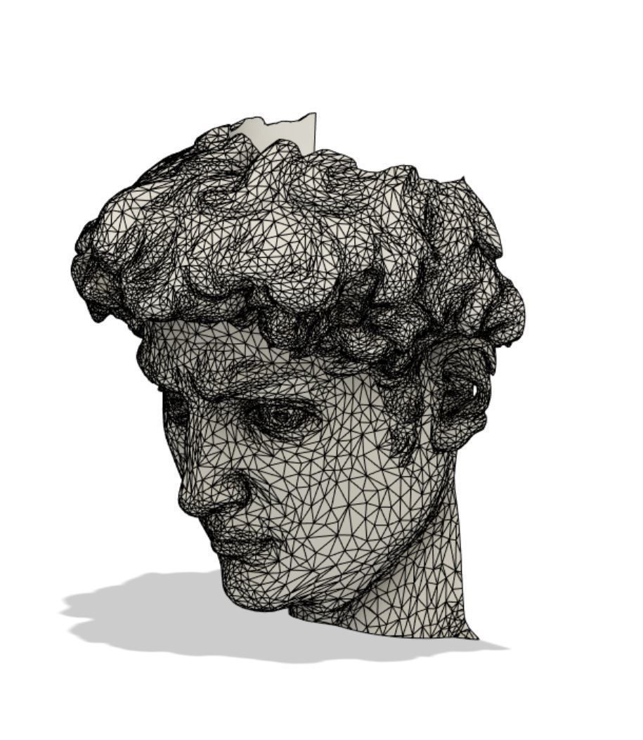 David of Michelangelo Head Pen Holder 3D print model_5