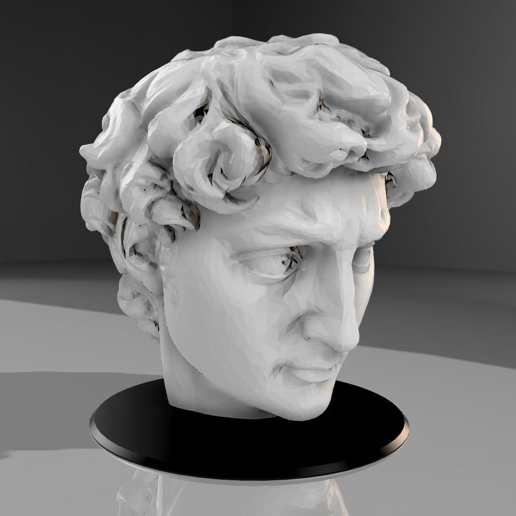David of Michelangelo Head Pen Holder 3D print model_1