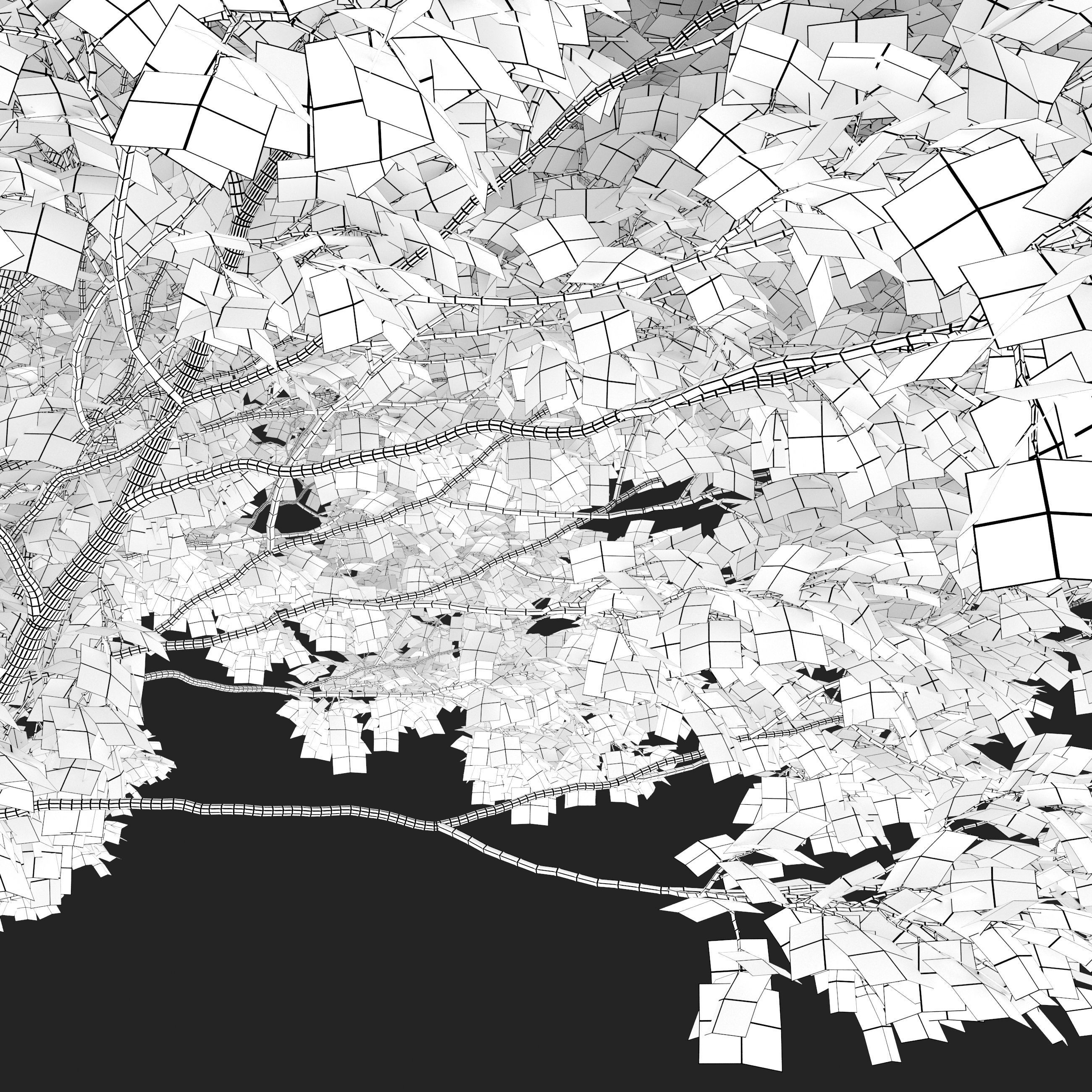 Acer macrophyllum 3D model_6