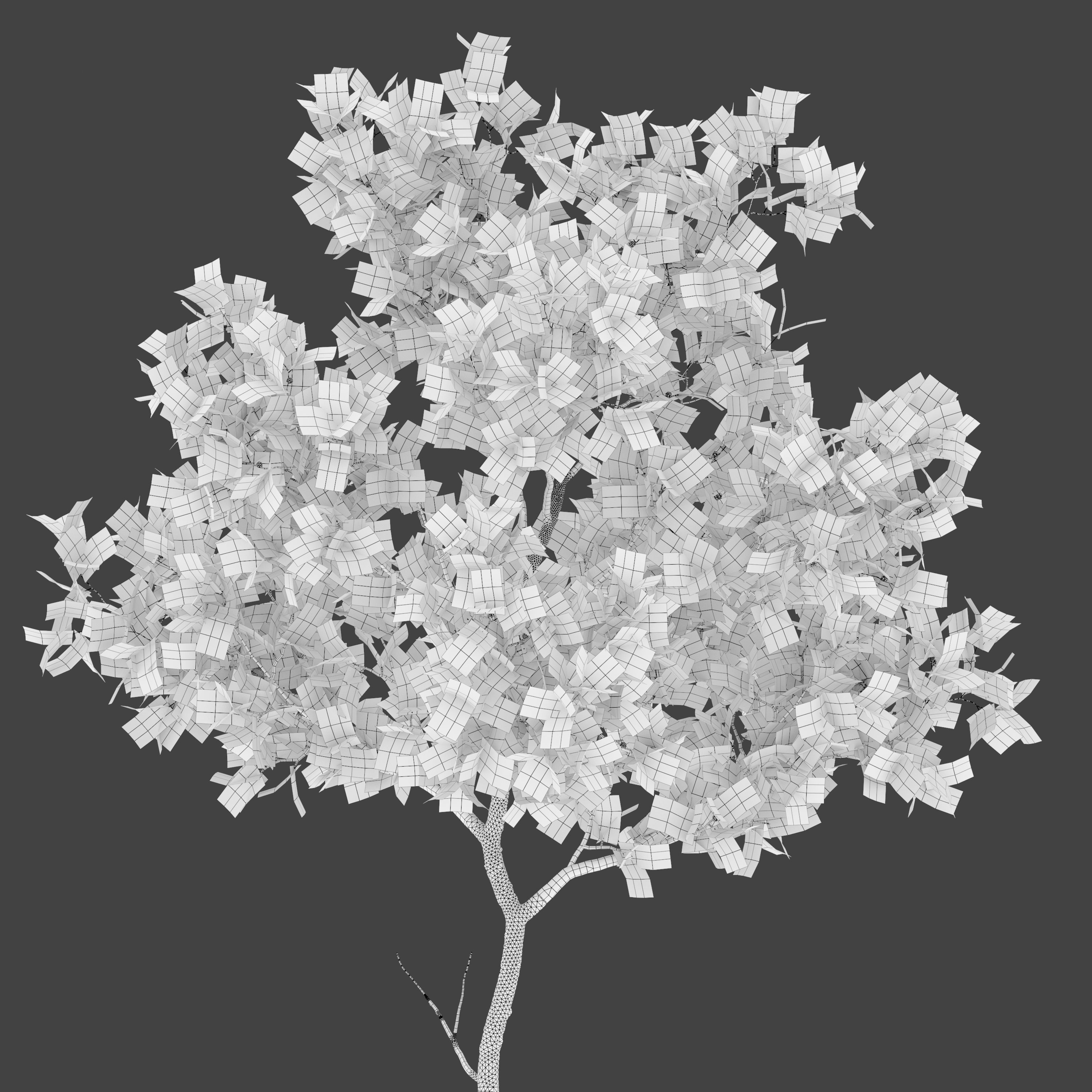 Young oak trees 3D model_7