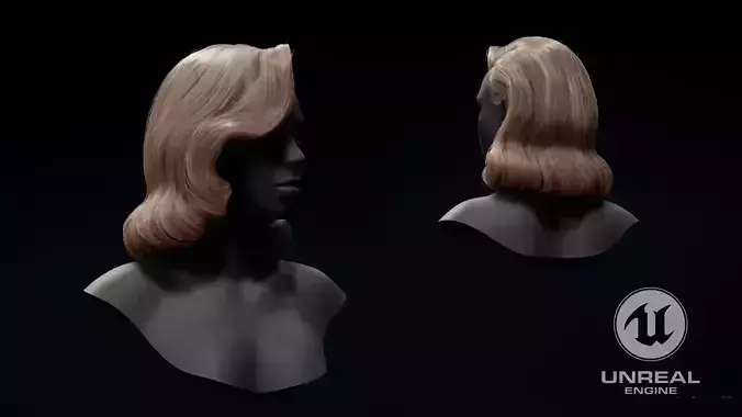 Hollywood 40th hairstyle Low-poly 3D model