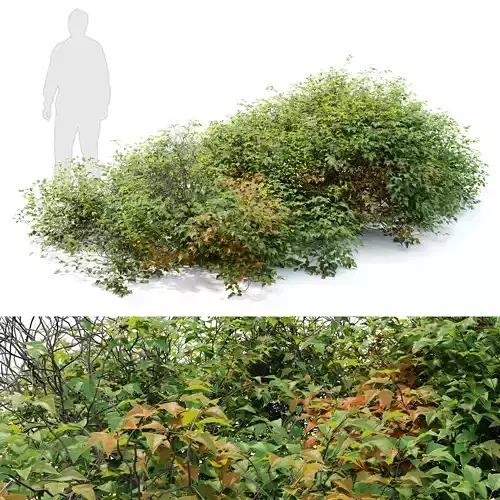 Bush 022 3D model