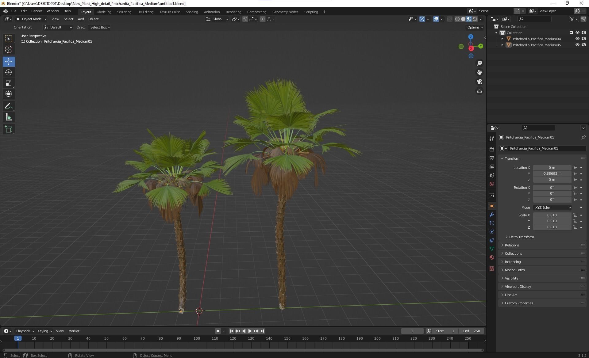 New Plant High detail Pritchardia Pacifica Medium 3D model_8