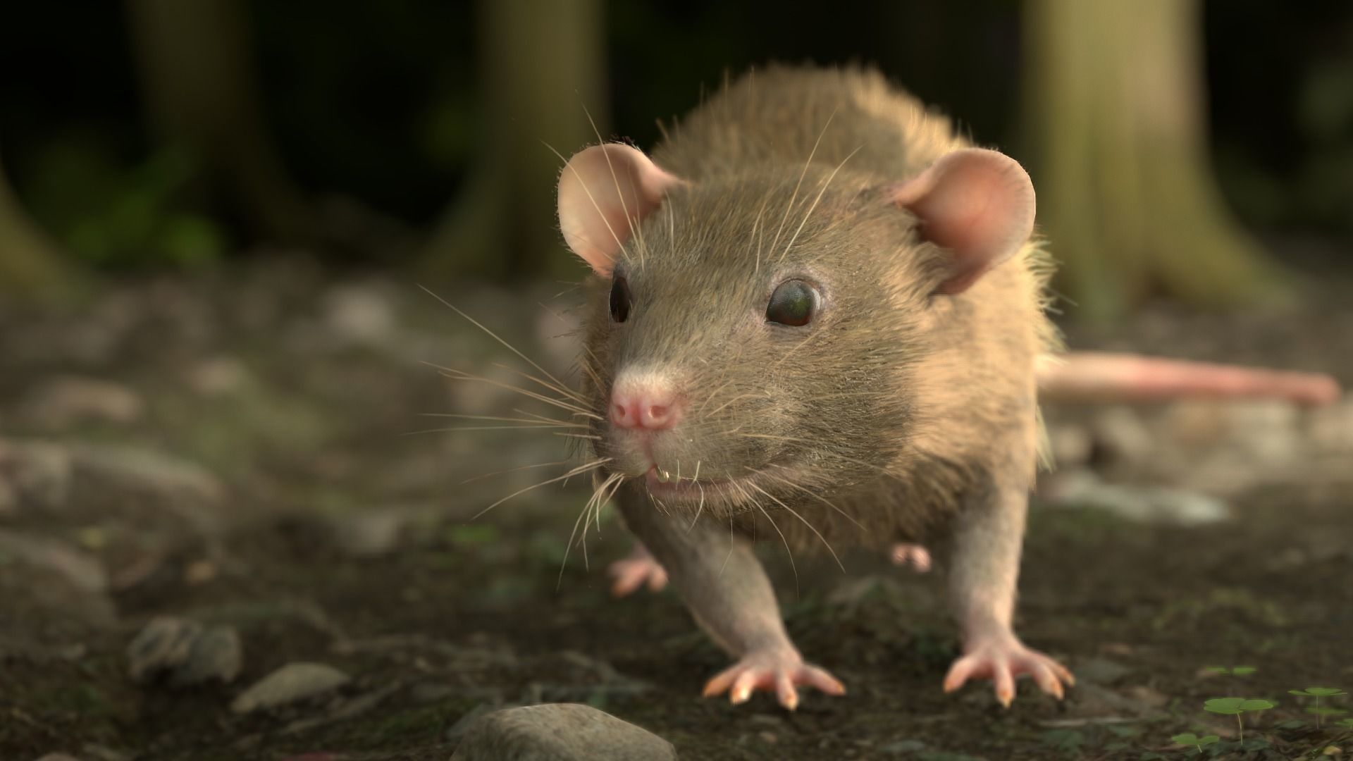 Mouse rat Low-poly 3D model_21