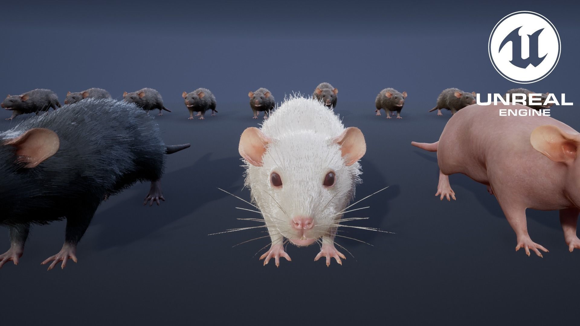 Mouse rat Low-poly 3D model_16