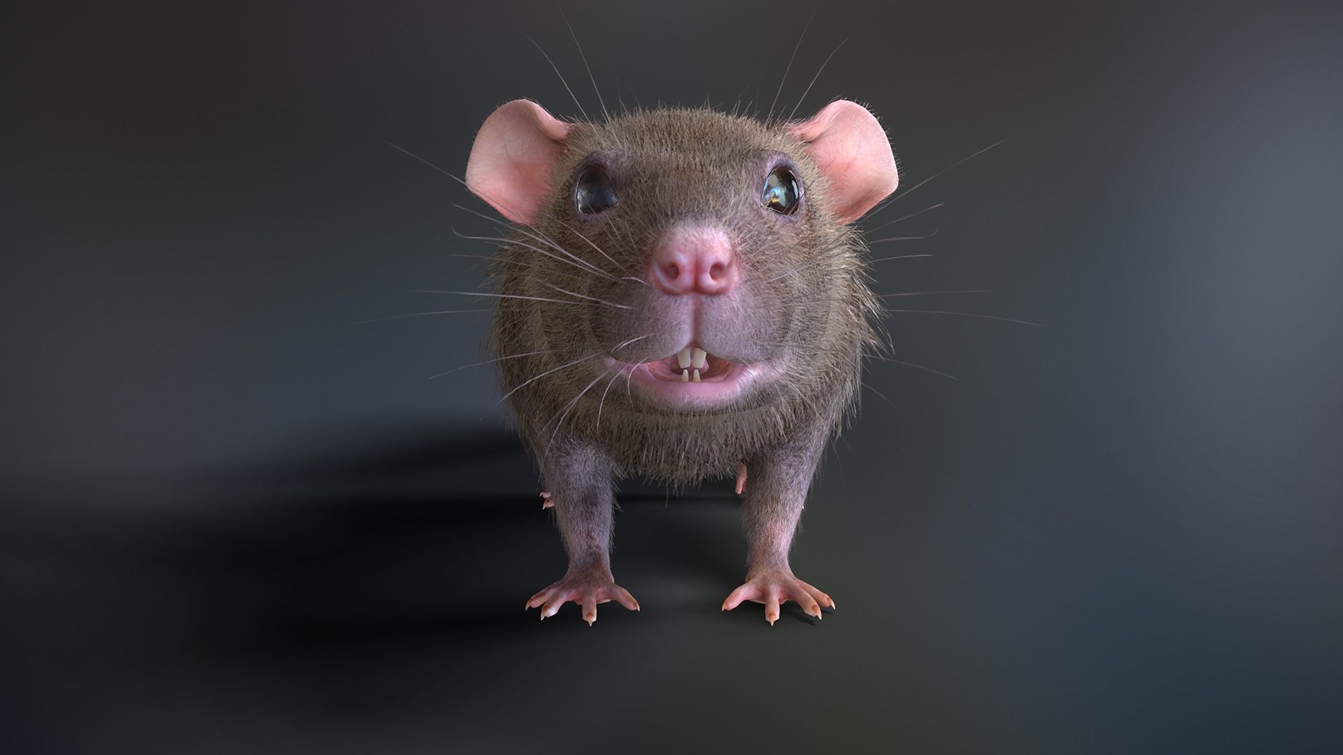 Mouse rat Low-poly 3D model_4