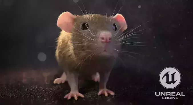 Mouse rat Low-poly 3D model