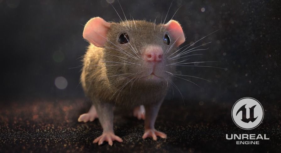 Mouse rat Low-poly 3D model_0