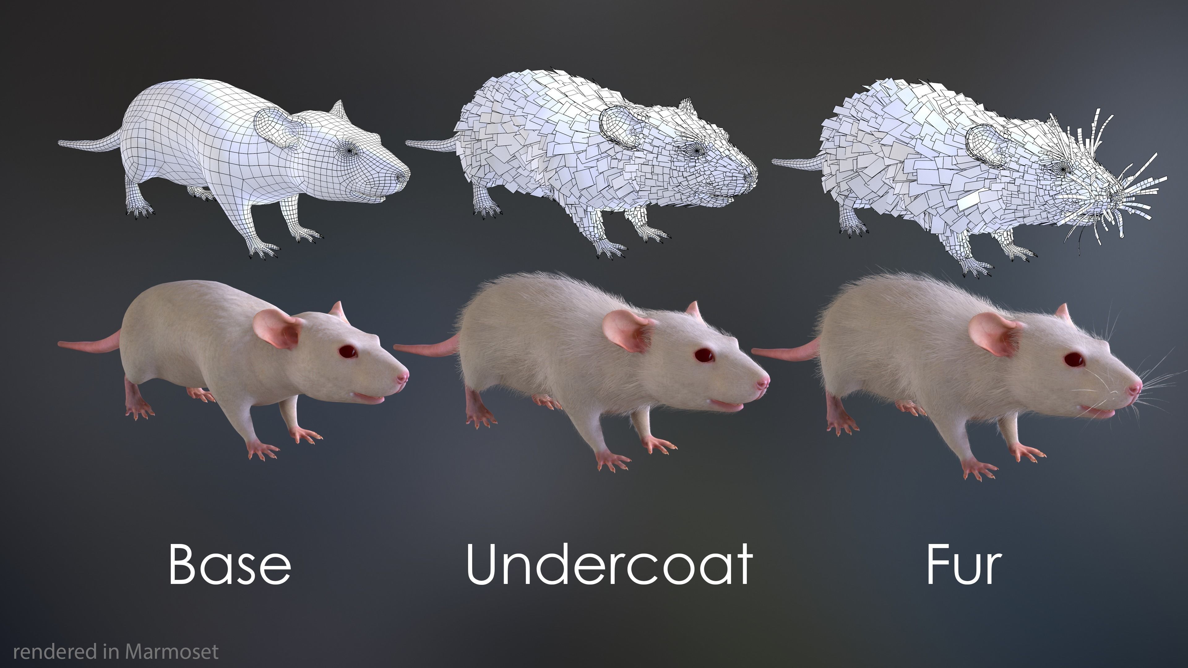 Mouse rat Low-poly 3D model_3