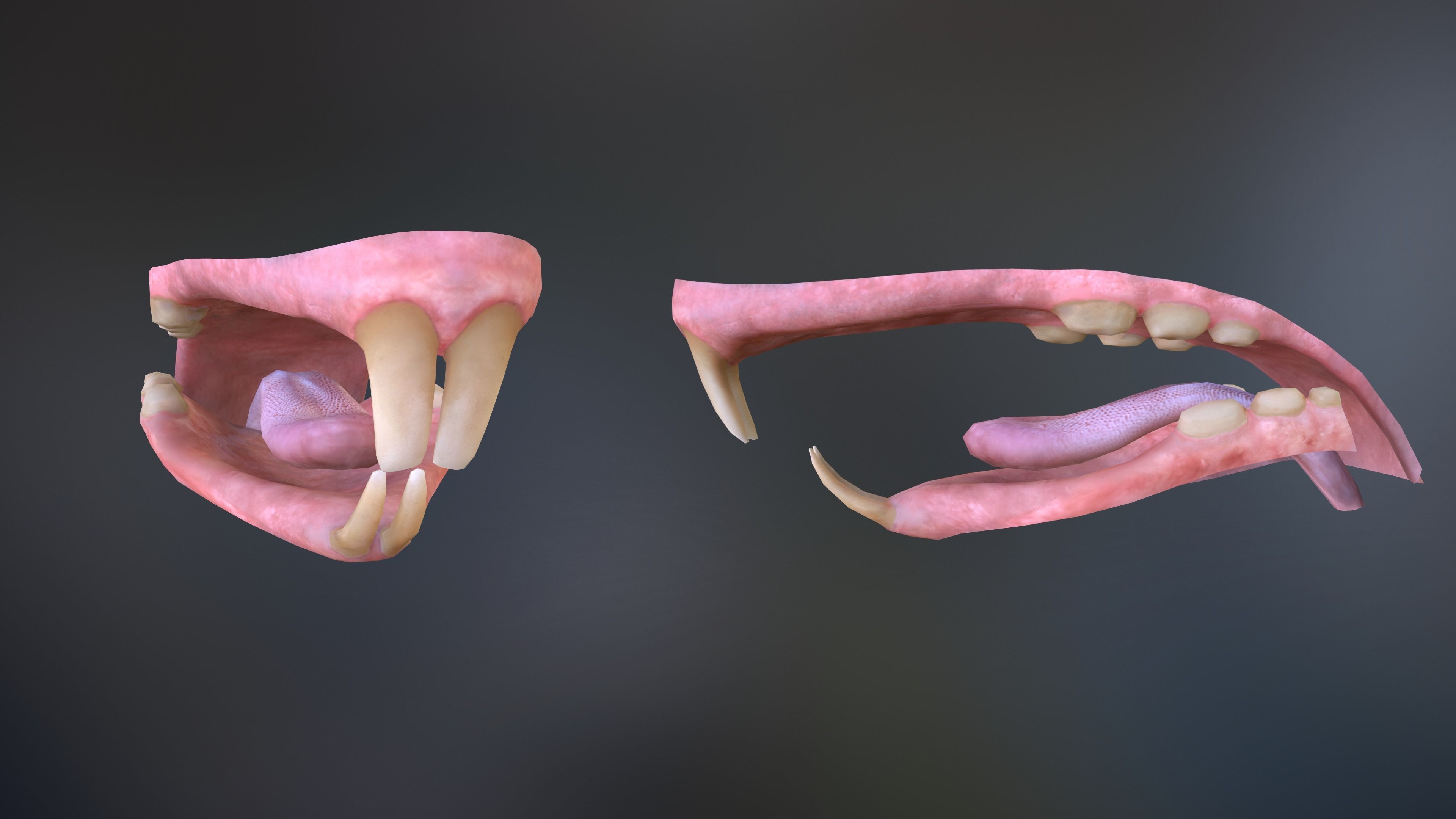 Mouse rat Low-poly 3D model_9