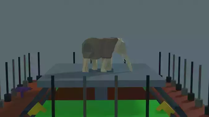 Elephant In the Room