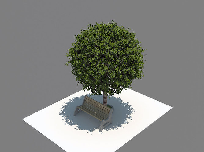 Realistic tree and bench 3D model