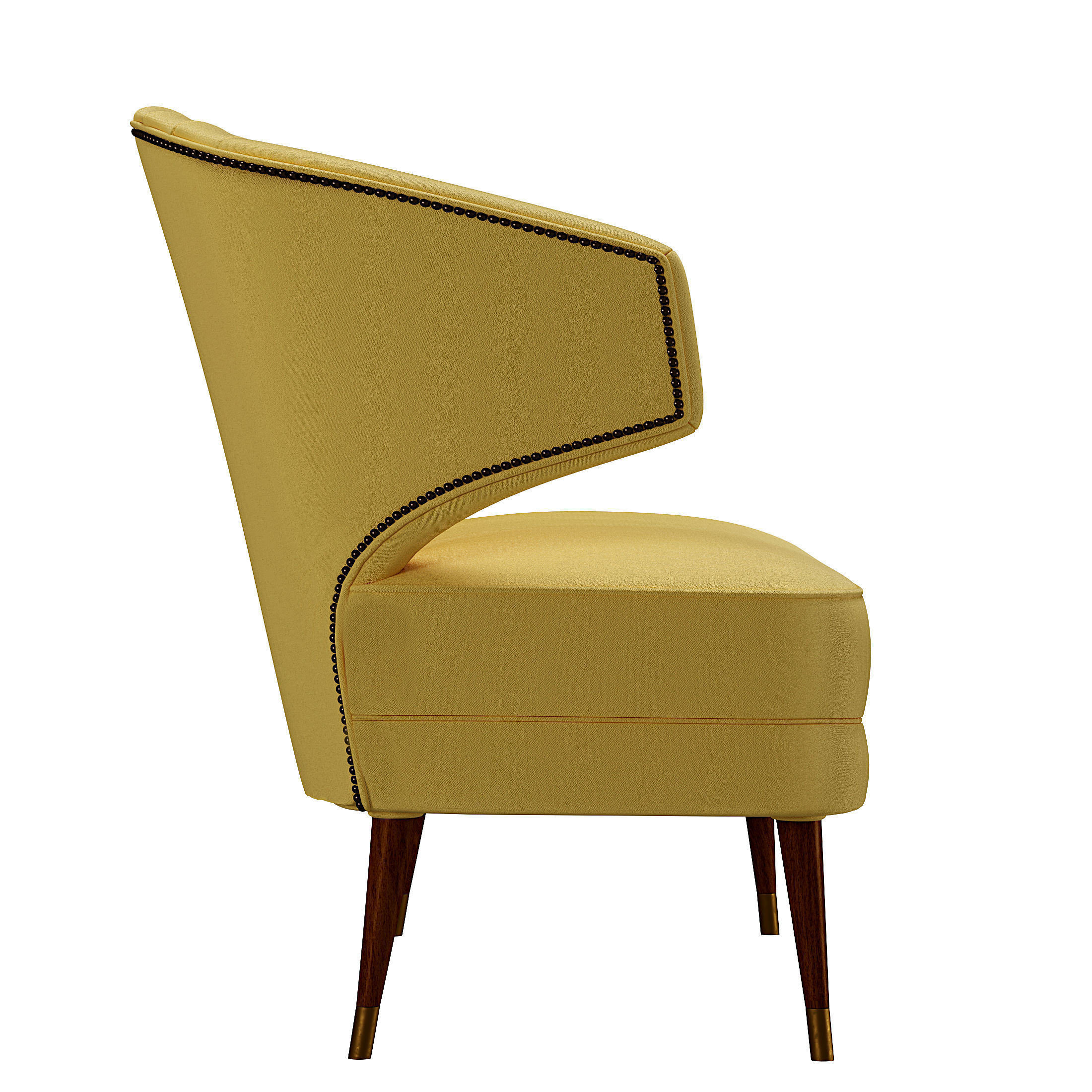 BRABBU IBIS Low-poly 3D model_1