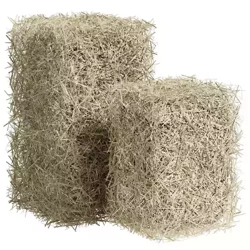 Bales of hay 3D model