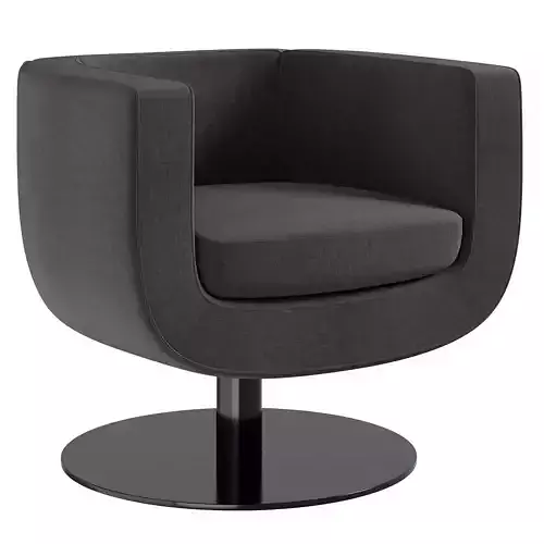 Tulip armchair b and b Italia