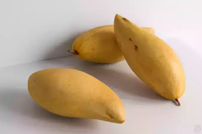 Mango 3D model