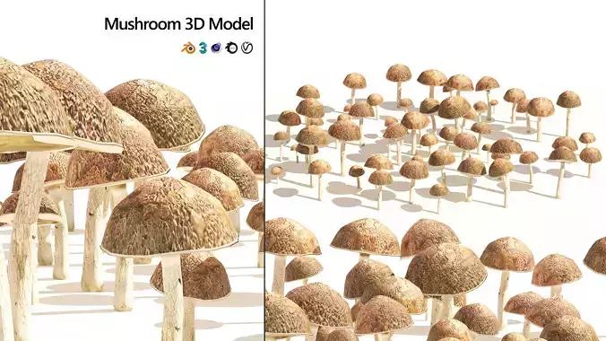 Mushroom Cluster Low-poly 3D model