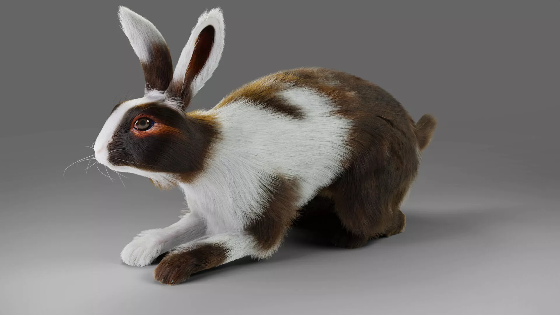 Fur Rabbit Gray V04 Rigged and Animation Low-poly 3D model
