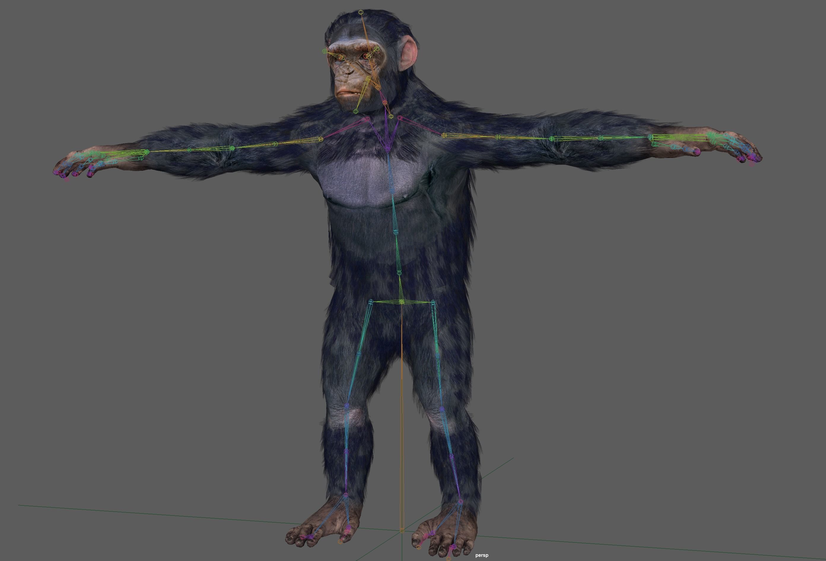 Chimpanzee Ape Rig 3D model_10