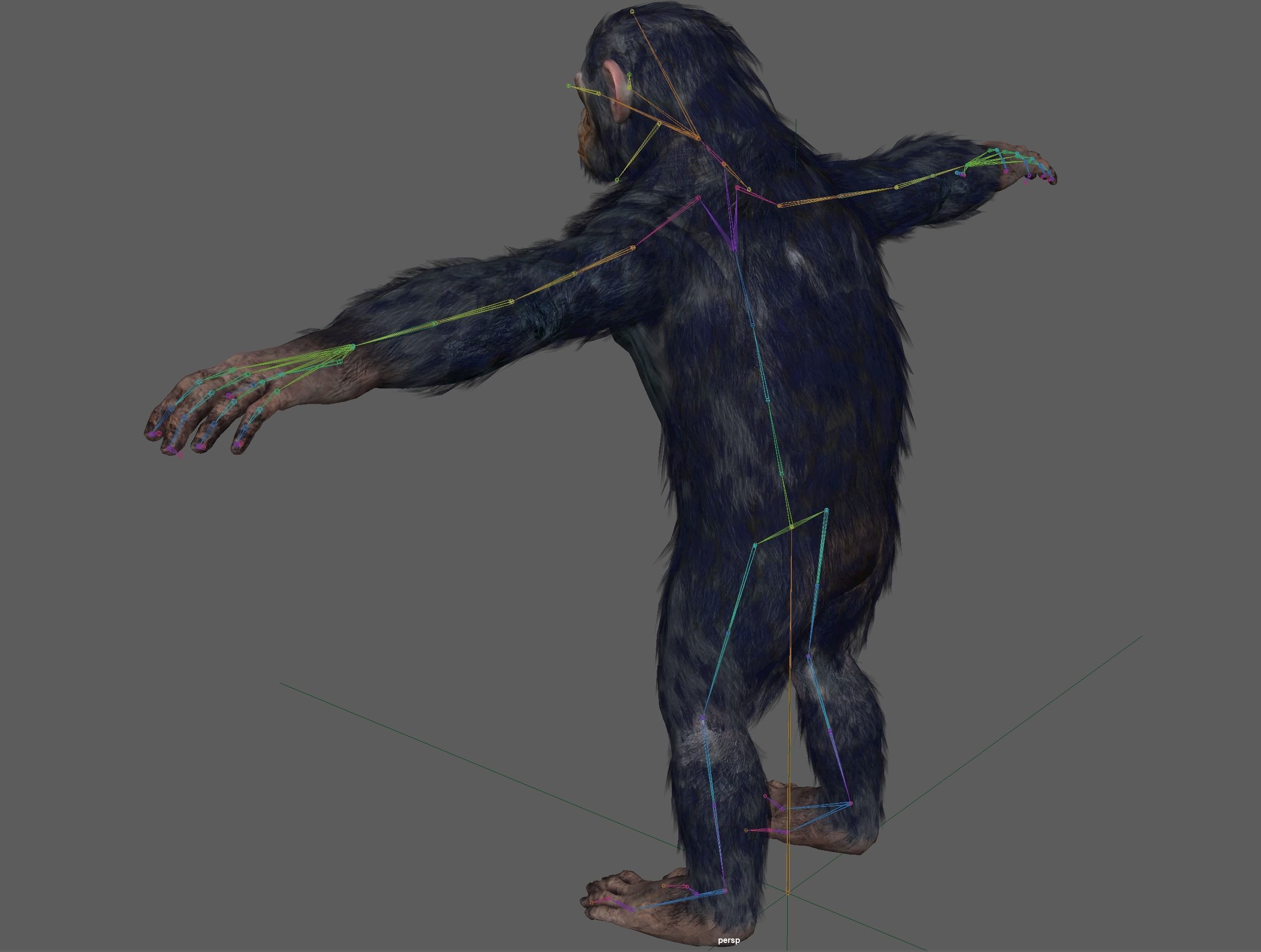 Chimpanzee Ape Rig 3D model_11