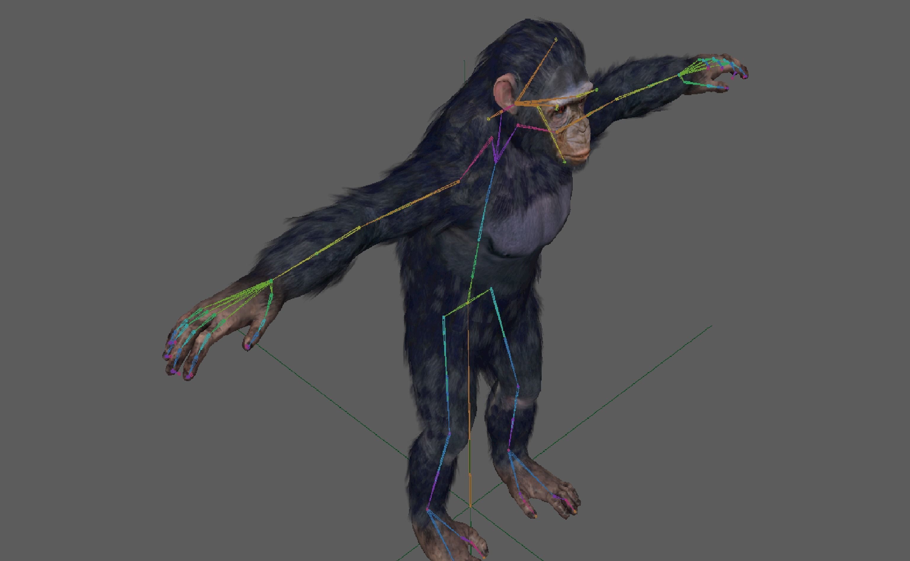 Chimpanzee Ape Rig 3D model_15
