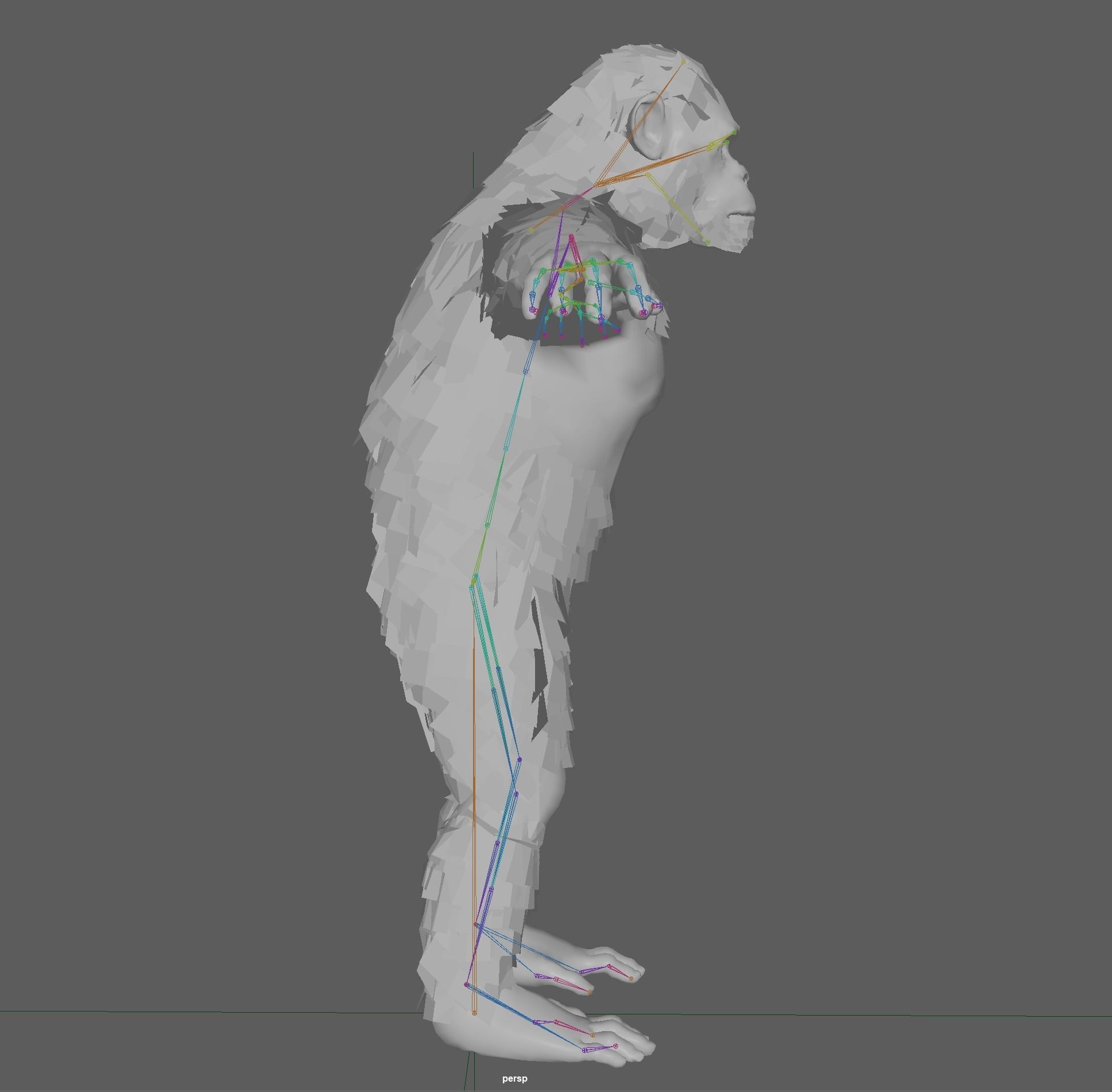 Chimpanzee Ape Rig 3D model_13