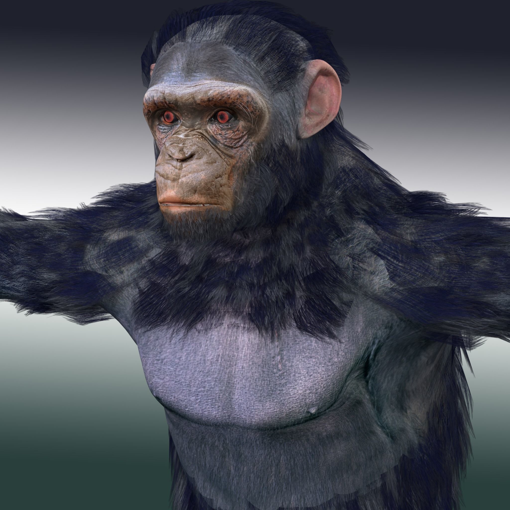 Chimpanzee Ape Rig 3D model_1
