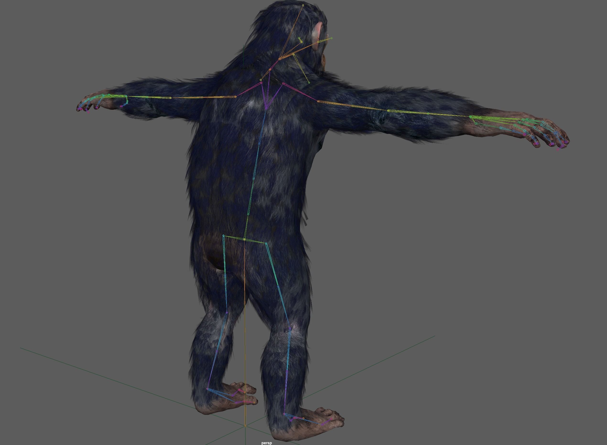Chimpanzee Ape Rig 3D model_8