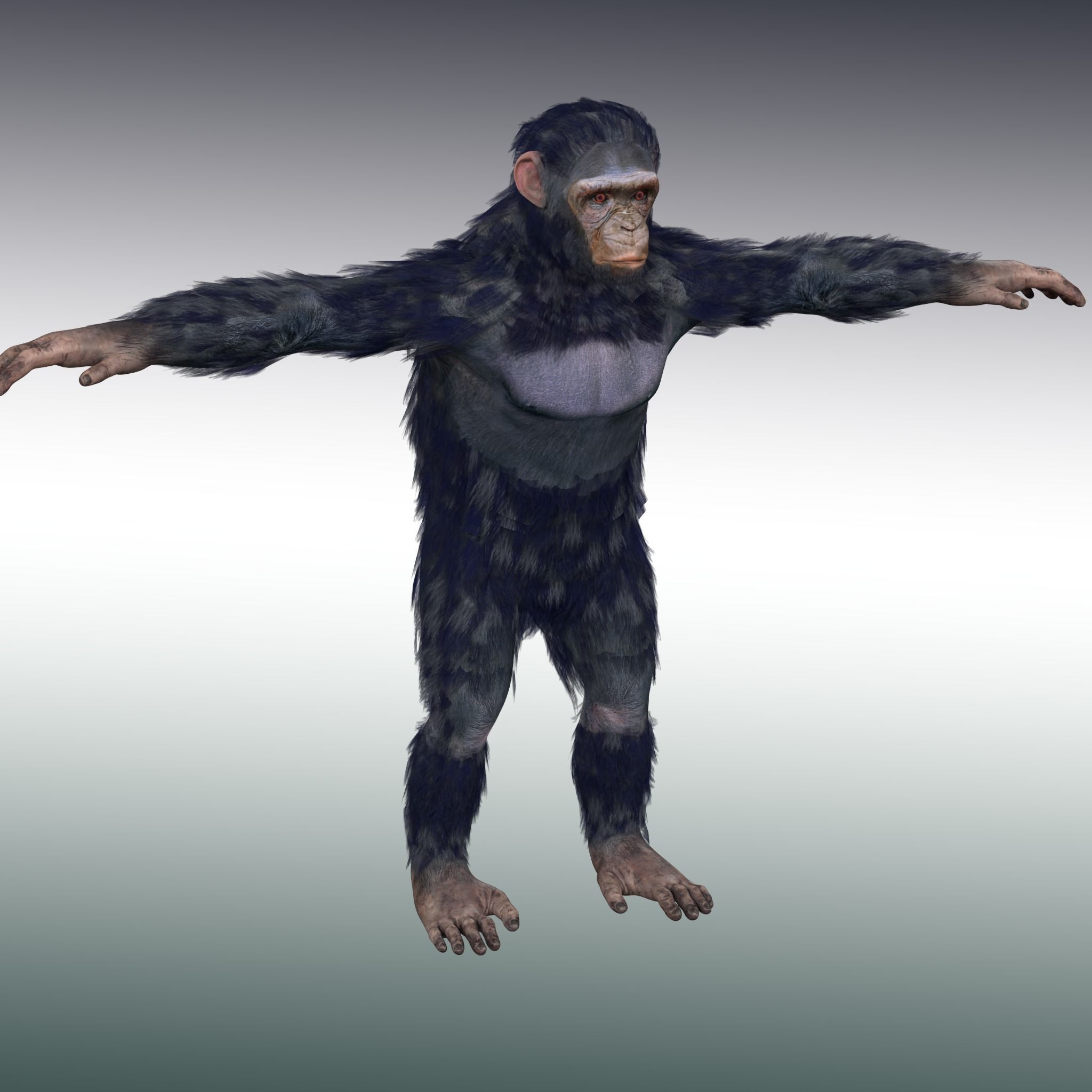 Chimpanzee Ape Rig 3D model_3