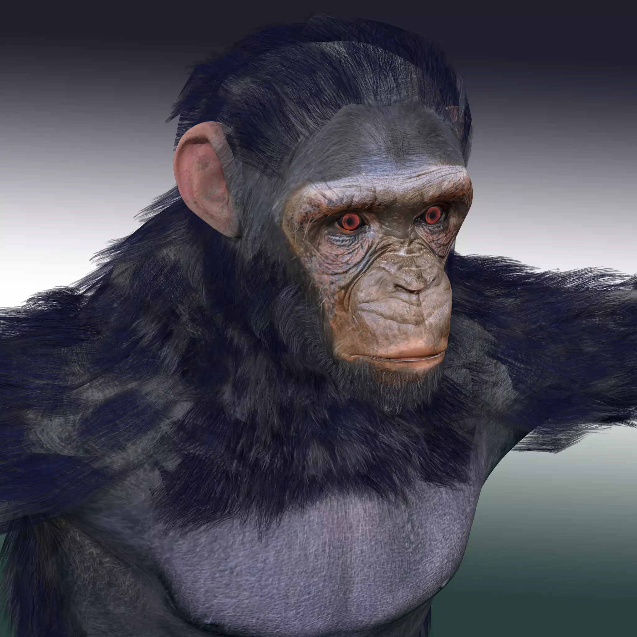 Chimpanzee Ape Rig 3D model_0