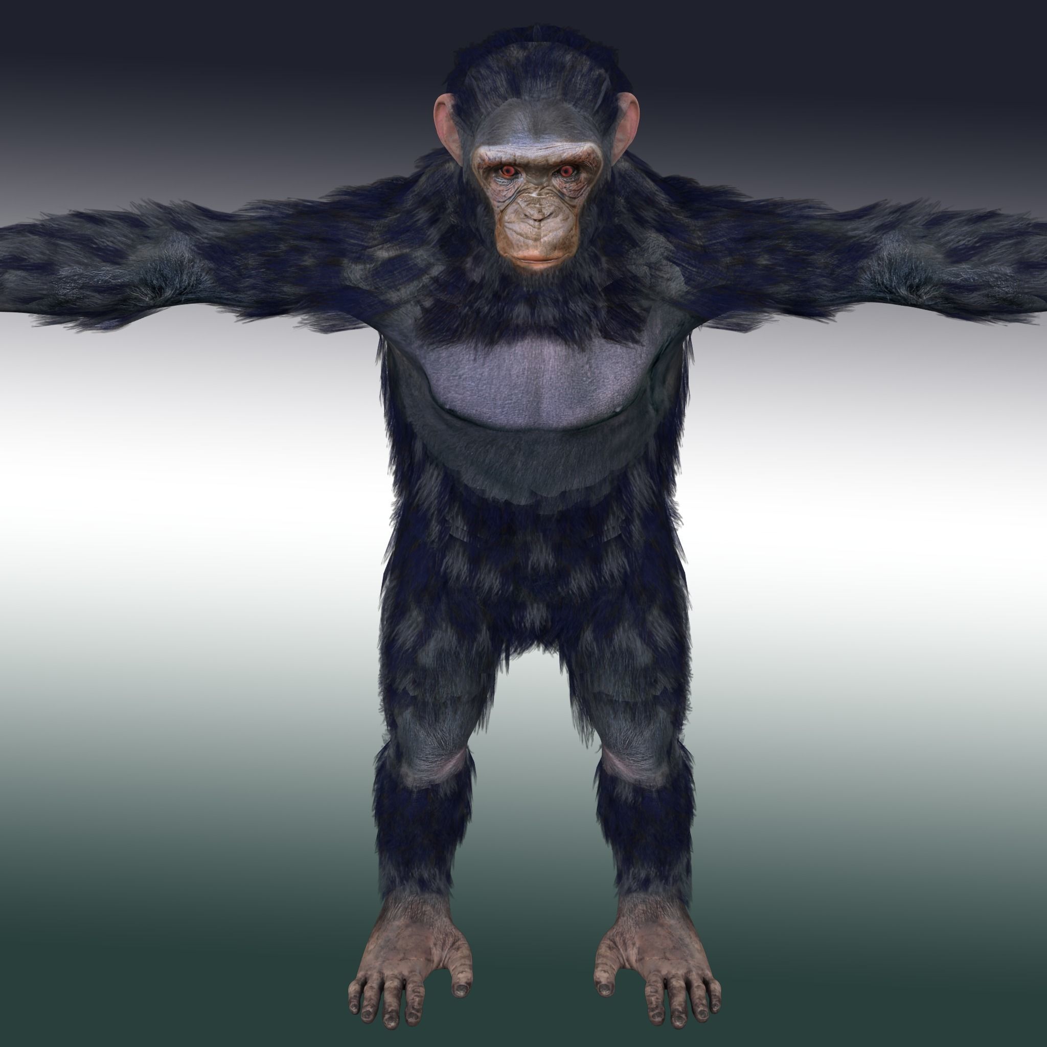 Chimpanzee Ape Rig 3D model_7