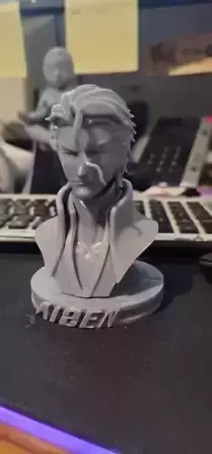 Aizen bust 3D model