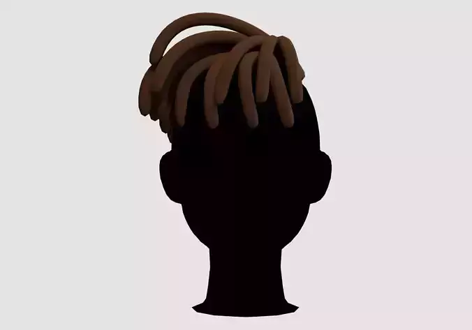 Short Braids Hairstyle 