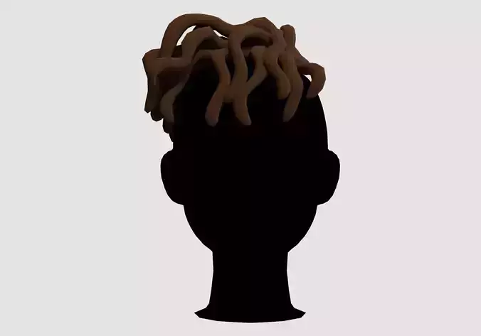 Curly Cartoon Hairstyle 