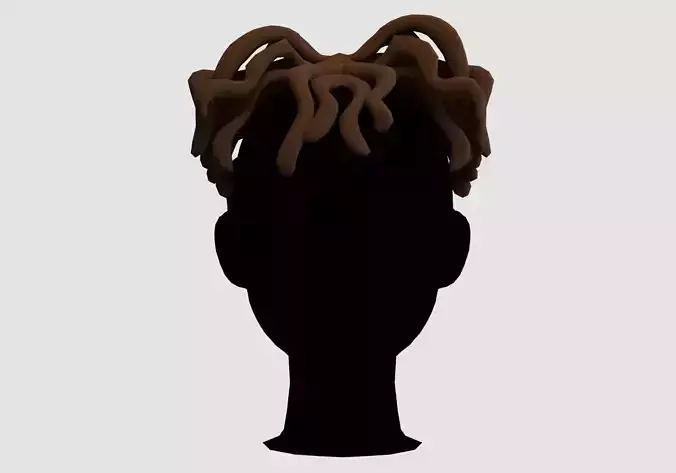 Curly Braids Hairstyle 