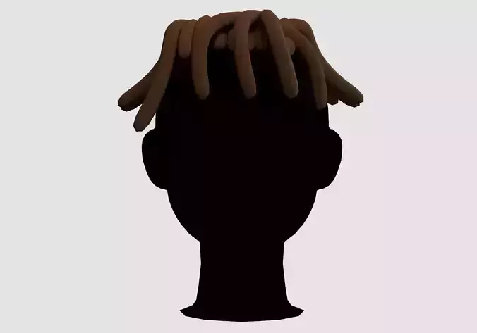 Cartoon Braids Hairstyle 