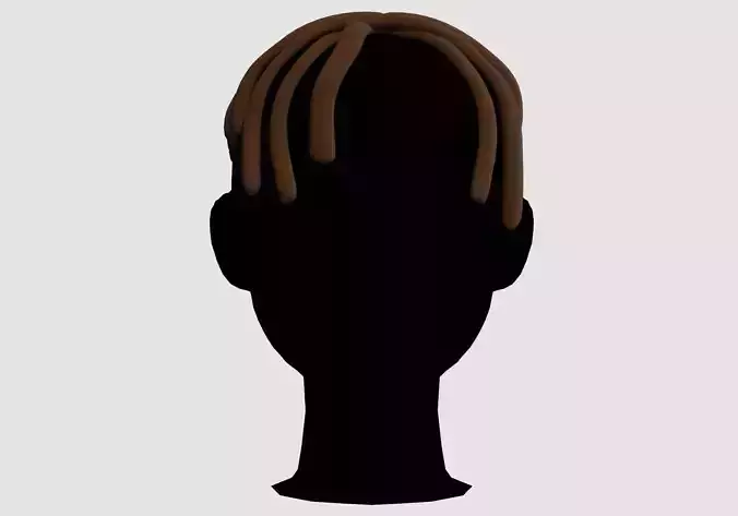 Brown Braids Hairstyle 