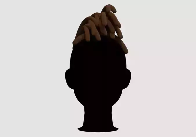 Braids Short Hairstyle 