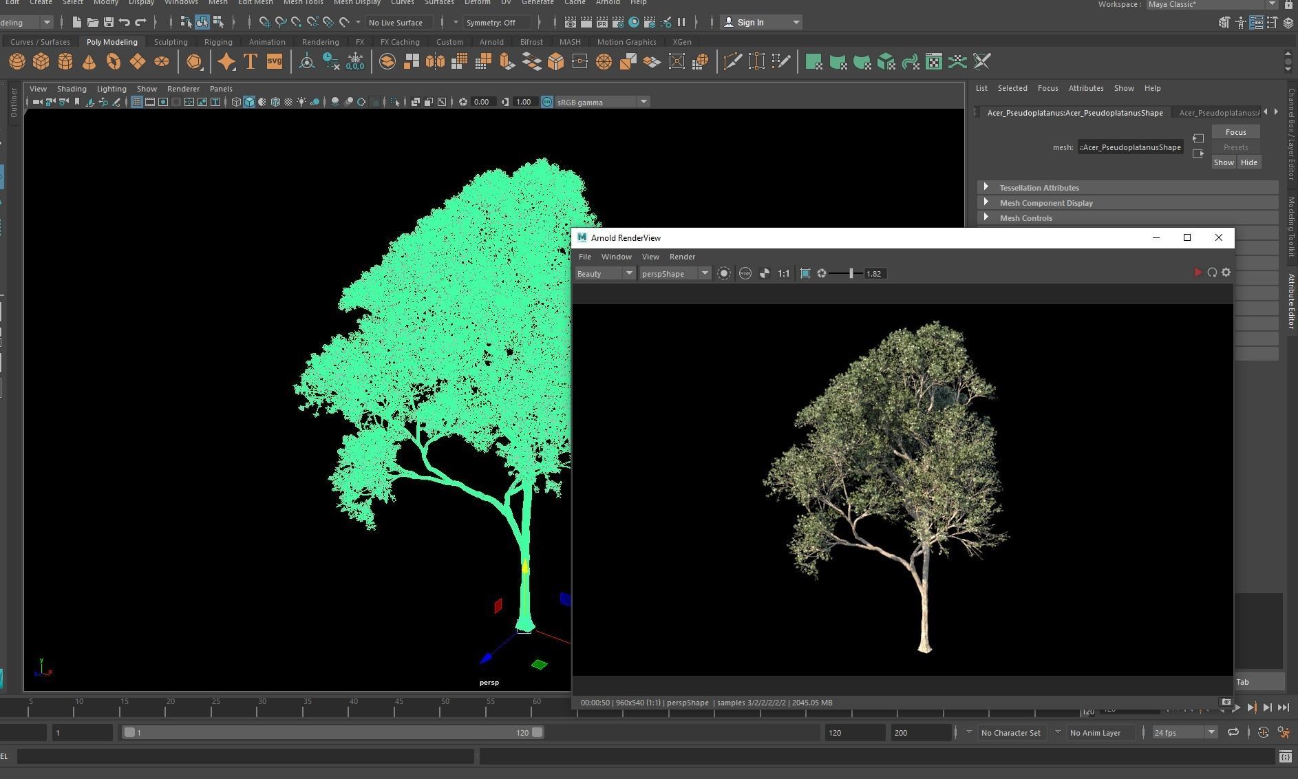 New Plant High detail Acer Pseudoplatanus 3D model_7