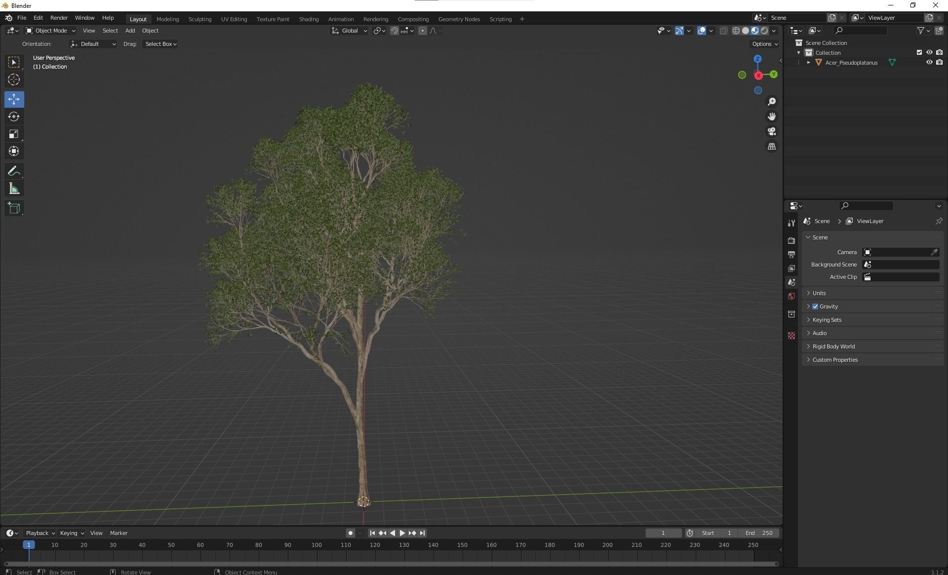 New Plant High detail Acer Pseudoplatanus 3D model_5