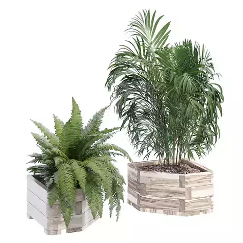 Rowlinson wooden planter with two plants in it