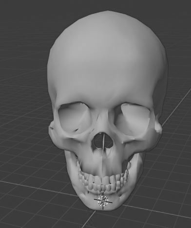 Human Skull 3D model_1
