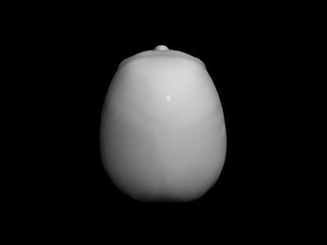 Human Skull 3D model_6