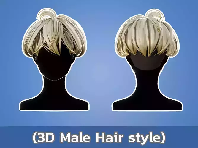 3D Hair Male 002 